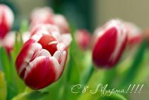 Поздравляем с 8 марта !