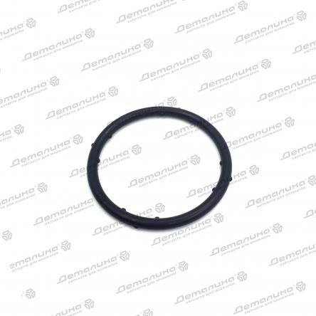 уплотнительное кольцо 100721545 Topran