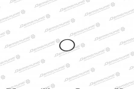 уплотнительное кольцо 111 968 015 Topran