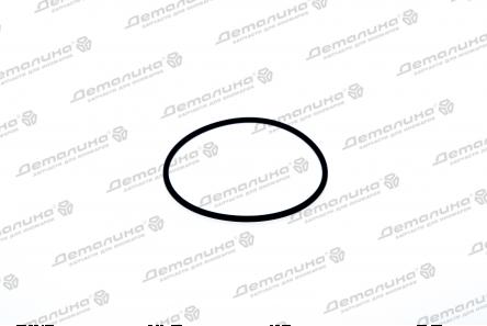 уплотнительное кольцо 24416344 OPEL