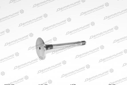 клапан впускной 39123 TRW Engine Component