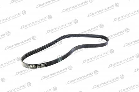 ремень ручейковый 5PK990 Contitech