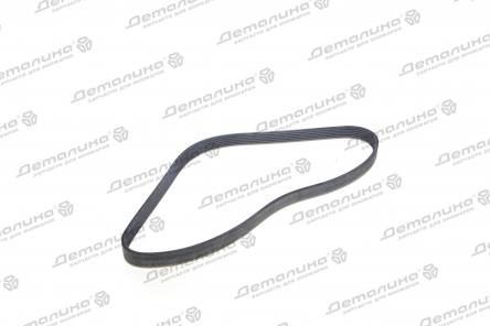 ремень ручейковый 6PK1019 ELAST Contitech