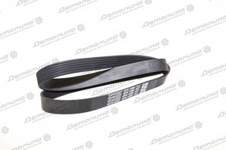 ремень ручейковый 6PK1080 Dayco