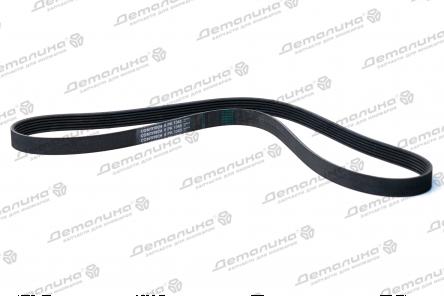 ремень ручейковый 6PK1345 Contitech