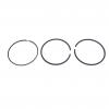 Поршневые кольца VW Passat (B5+) универсал  изображение