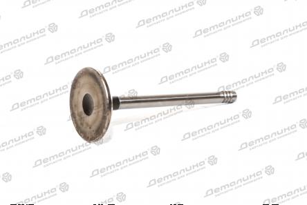 детали тормозного цилиндра и суппорта BSG 30-251-004 BSG