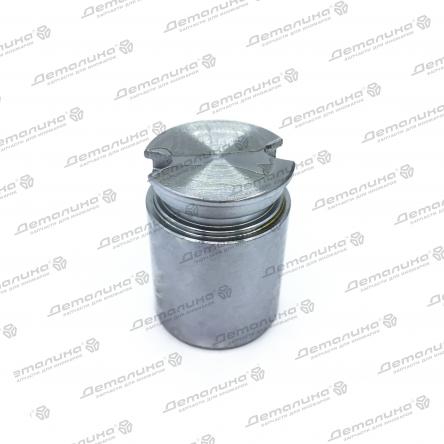 поршень тормозного суппорта D02523 Autofren Seinsa