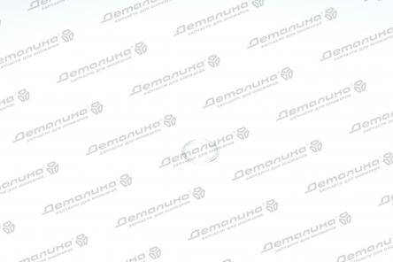 уплотнительное кольцо N0138157 VAG