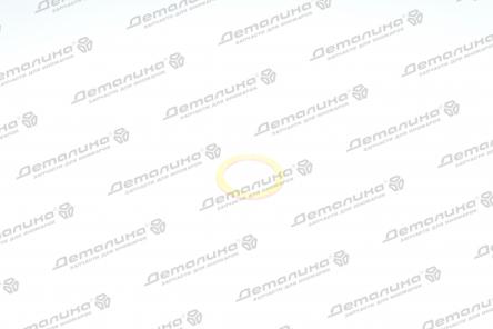 уплотнительное кольцо N0438083 VAG