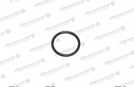 уплотнительное кольцо n10139201 VAG