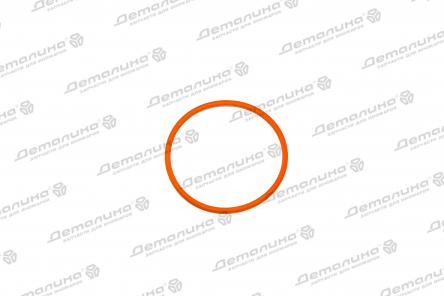 уплотнительное кольцо N90521604 VAG