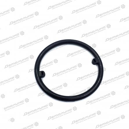 уплотнительное кольцо P18-0009 Patron