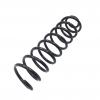 пружина подвески PCS950277 Patron