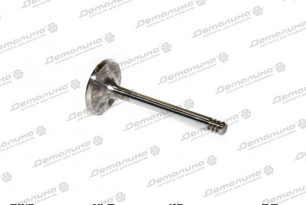 клапан впускной R4643/SCR Freccia