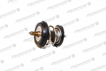 термостат TS111 FENOX